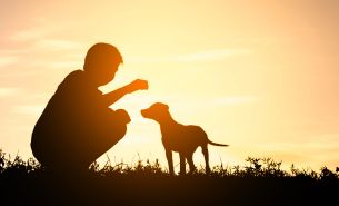 Helping a Child Heal from Trauma Page