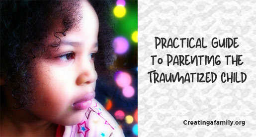 View a Practical Guide to Parenting a Child Exposed to Trauma