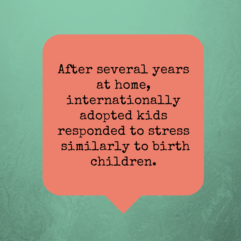View Kinship Care Resource Guide