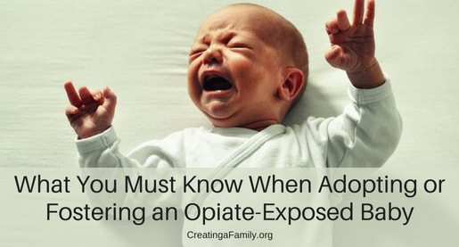 View Raising a Child with Prenatal Substance Exposure Page