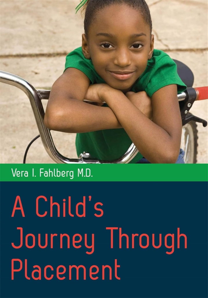 View A Child's Journey Through Placement on Amazon