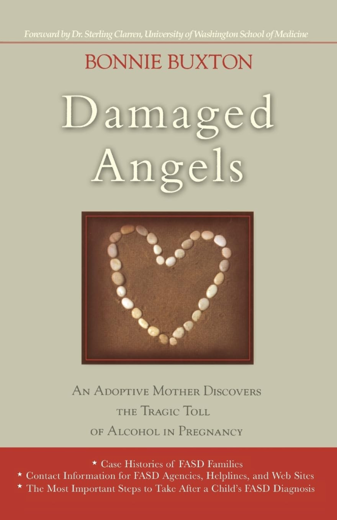 View Damaged Angels on Amazon