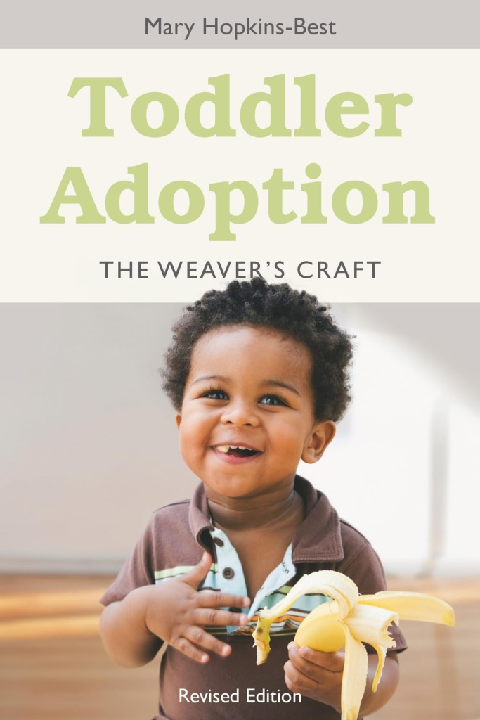 View Toddler Adoption: The Weaver's Craft on Amazon