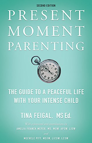 View Present Moment Parenting on Amazon