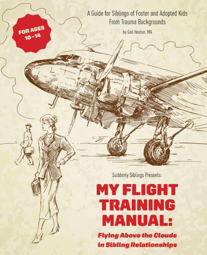 View My Flight Training Manual on Amazon