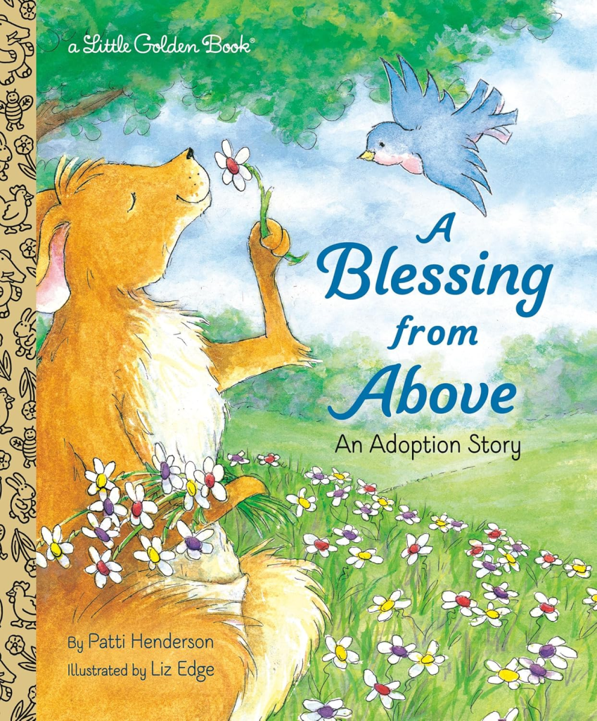 View A Blessing from Above on Amazon