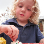 Food Issues and Pickiness in Adopted Children