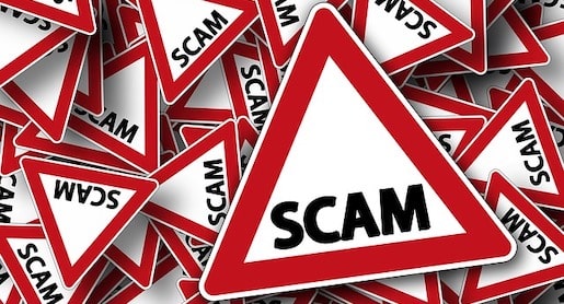 adoption scams